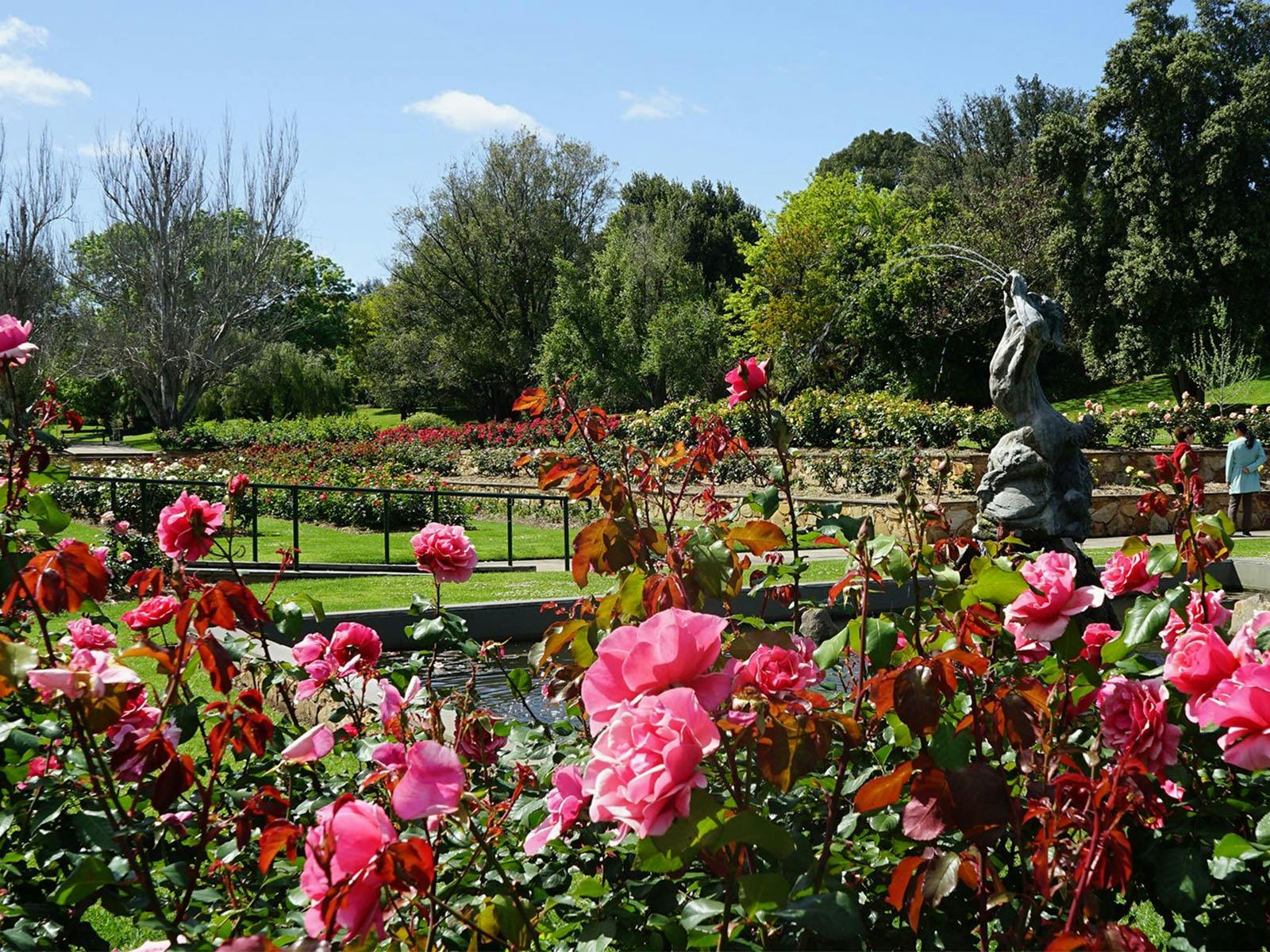 Garden ceremony in Veale Gardens